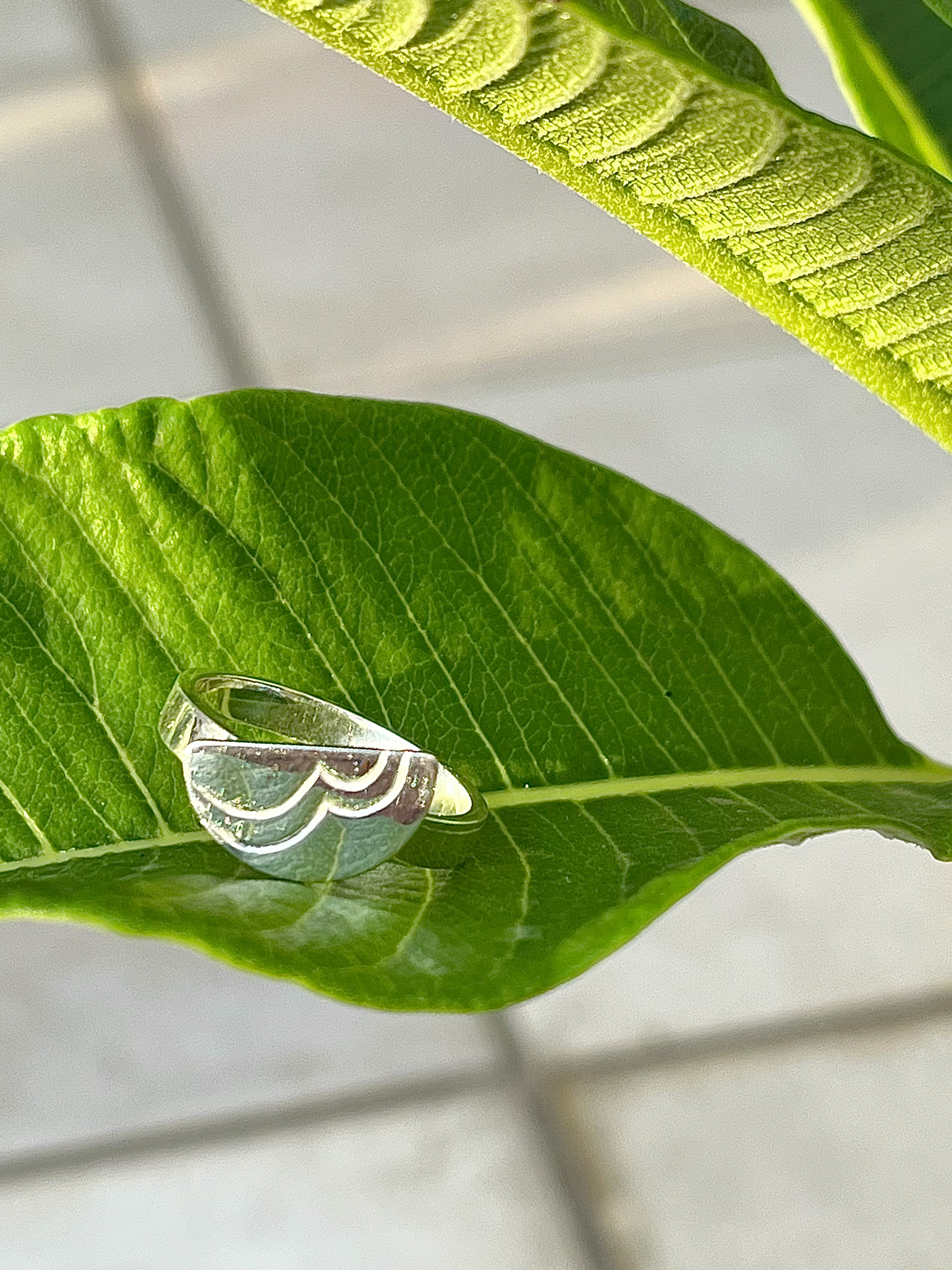 Moon river ring　（ムーンリバーリング）