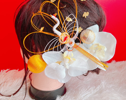 859db101f955f6eee724259cf3f4ec