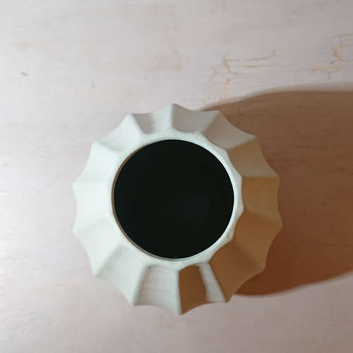 綿の木 コットンツリー ”コットンフラワー（ドライフラワー）フラワー