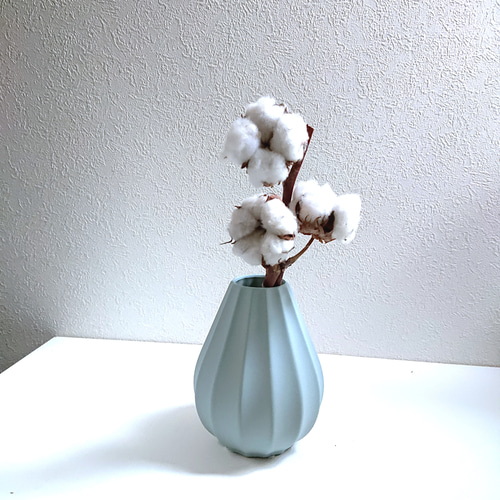 綿の木 コットンツリー ”コットンフラワー（ドライフラワー）フラワー