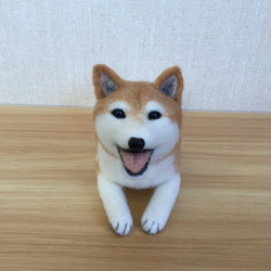 羊毛フェルト ボーダーコリー 羊毛フェルト masapan 通販 10861936