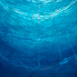 海中からの景色　 4枚目の画像