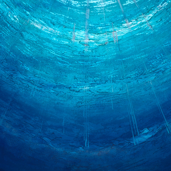 海中からの景色　 4枚目の画像