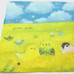 かわいい♪小鳥たちのマイクロファイバークロス 『菜の花畑インコたち