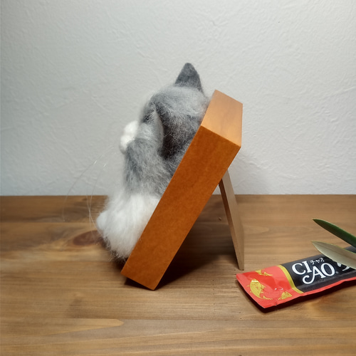 ほっこり♡猫の見える窓】ラグドールver.【羊毛フェルト】【猫