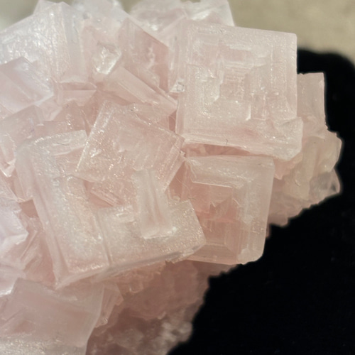 ピンクハライト　岩塩　結晶 ピンクハライト原石 岩塩結晶｜マライカ公式通販