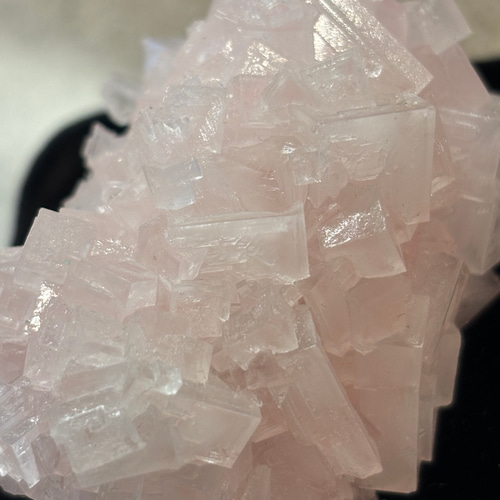 ピンクハライト　岩塩　結晶 ピンクハライト原石 岩塩結晶｜マライカ公式通販