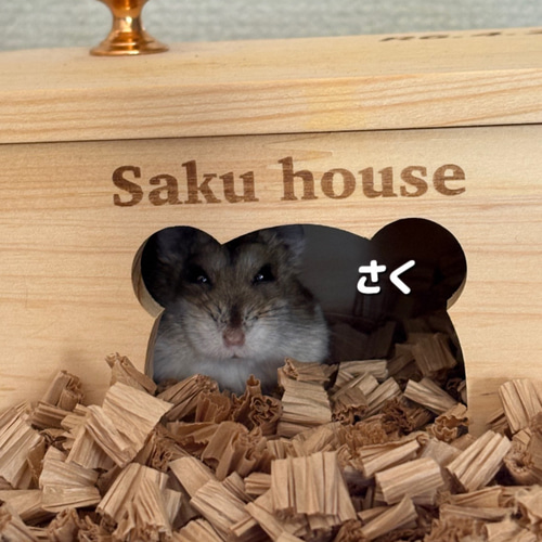 ハムスター ハム顔アーチ型ハウス 二部屋構造 ハウス・小屋 【す