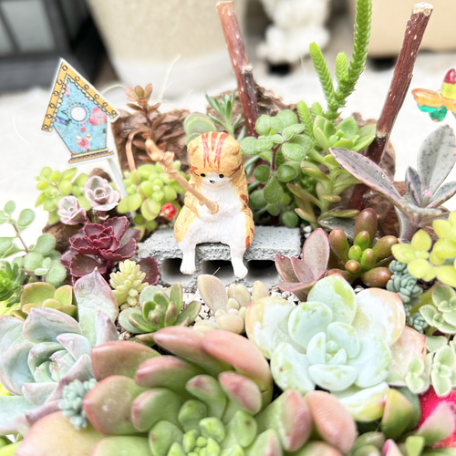専用【復活*樽猫】そのまま飾れる多肉植物の寄せ植え*釣り猫*新樽猫バージョン このまま飾れます】再販 可愛いシュール釣り猫さん♪多肉植物