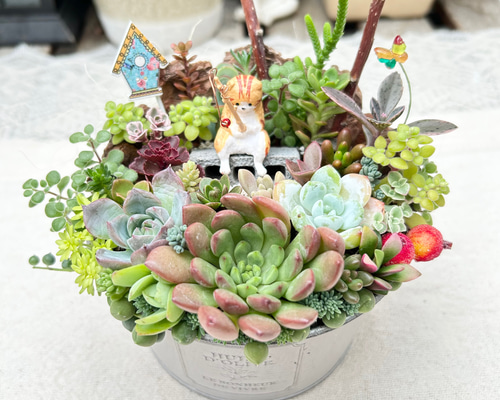 専用　そのまま飾れる多肉植物の寄せ植え*モルタル鉢の釣り猫 da4f3e5c52ff70b55b47f6c197d1d7