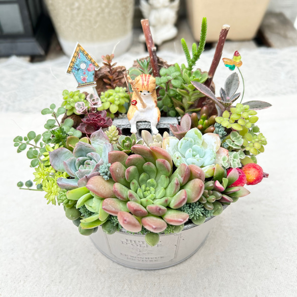 ★★壁掛け❤️★寄せ植え★このまま飾れます★多肉植物★★ このまま飾れます】再販 可愛いシュール釣り猫さん♪多肉植物