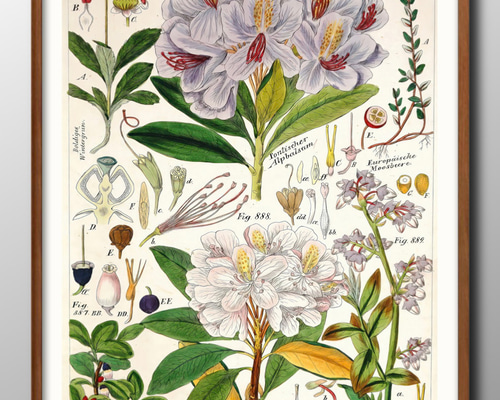 08296f2f8295e6ef5d7a8af5346f61