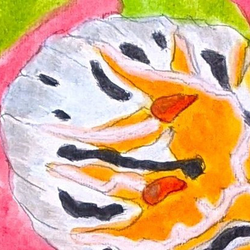 定番 ユキヤマウミウシ アクリル画原画 (SM) 絵画 yko 通販 18429357 絵画
