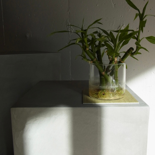 Display Box 02-K｜モールテックス コンクリート ディスプレイ 展示