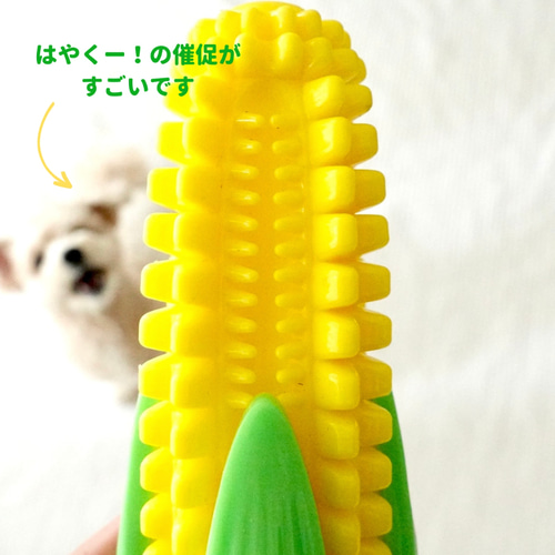 天然ゴムのとうもろこし 犬のおもちゃ ドッグトイ ノーズワーク ペット