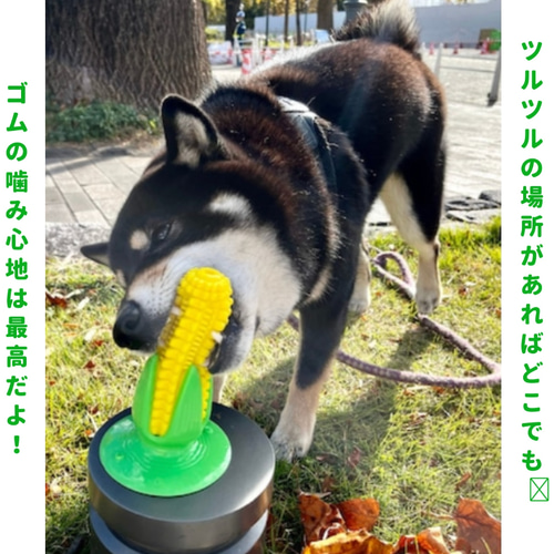 天然ゴムのとうもろこし 犬のおもちゃ ドッグトイ ノーズワーク ペット