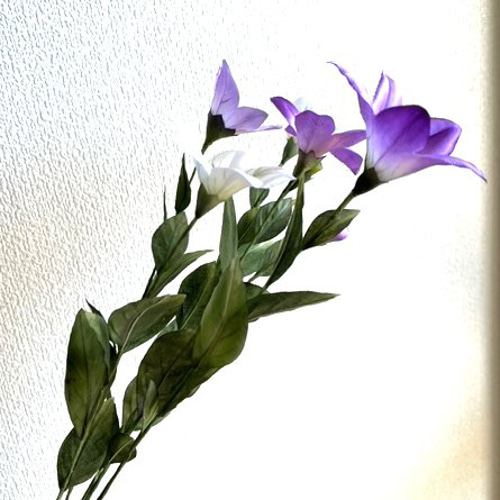 手染め布   ミィちゃまෆ˚* 手染め布 ミィちゃまෆ˚* 手染め布 ミィちゃまෆ