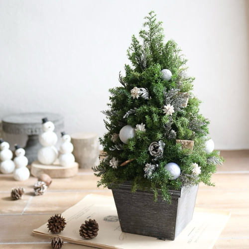 オーダー品】クリスマスツリー55㎝＊オーナメントなし＊プリザーブド