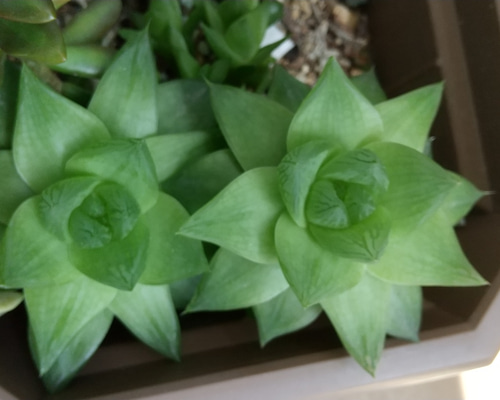 95880581b4bdffa3a157083ebe3514