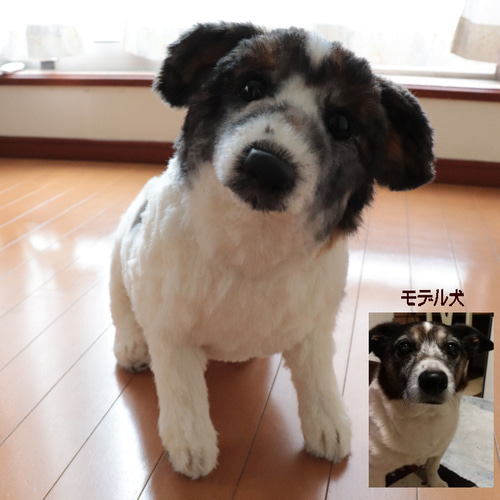 犬のぬいぐるみオーダー 作品仕様・価格について（ワンちゃん） - 【公式】ぬいぐるみの