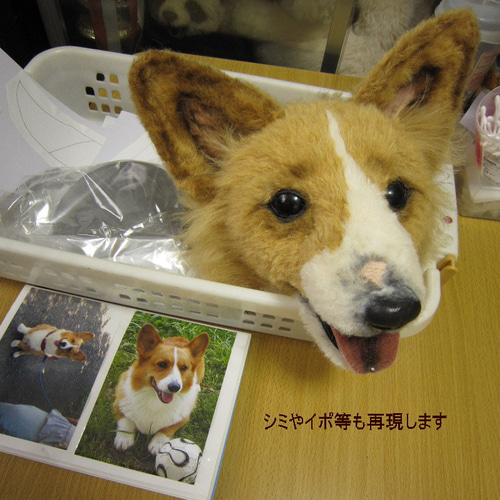オーダーペットのぬいぐるみ リアルな犬猫ぬいぐるみ 等身大の オーダーペットのぬいぐるみ リアルな犬猫ぬいぐるみ 等身大の