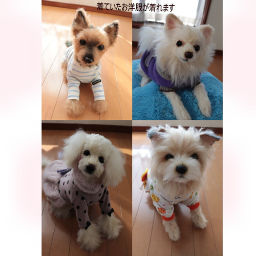 レビュー高評価の商品!の商品をすべて オーダーペットのぬいぐるみ 等身大の リアルな犬猫ぬいぐるみ ぬいぐるみ