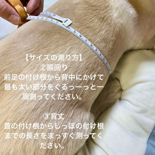 パラコード オーダーメイド ハーネス（調整可能タイプ） リード・首輪