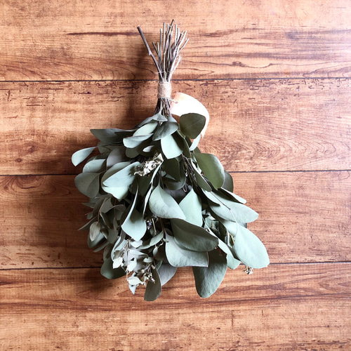 特価】ユーカリ スワッグ MS 30cm ＊ ドライフラワー スワッグ