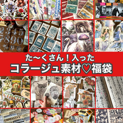 世界の切手~エジプト~8枚☆使用済み切手・海外切手【mc】 その他