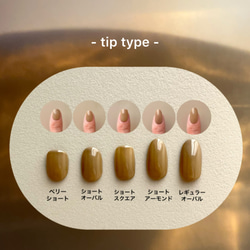 【送料無料】 No.15 シアーブラックグレー/ニュアンス 9枚目の画像