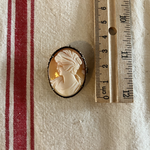 イタリア製の古いカメオ Cameo アンティーク 2WAY ブローチ&ペンダント