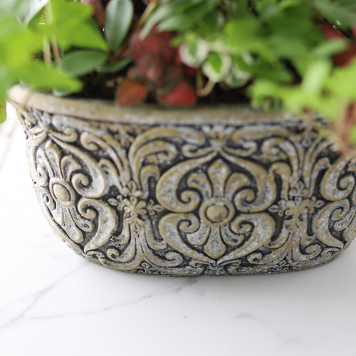 アンティーク陶器に♪ゴムの木と観葉植物のギャザリング寄せ植え 多肉