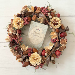 ベルギーナッツと赤い実と白い実を紡いだ　ふわふわなリース　ドライフラワー ベルギーナッツと赤い実と白い実を紡いだ ふわふわなリース ドライ