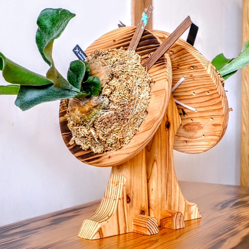 ビカクシダ スタンド その他インテリア雑貨 家具工房 空蝉 通販