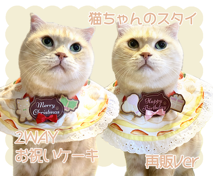 ラデュレ○2枚組 タオルハンカチ ネコ ねこ 猫 ワンちゃん犬 おし マカロン