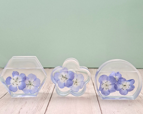 透き通る薄水色ネモフィラのメモ·カードスタンド ペーパーウェイト