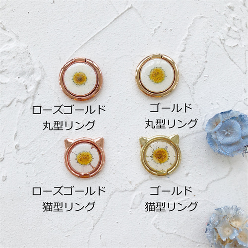 ゴールド フラワー型リング 専用ケース付き 楽天市場】フラワーパーツ パール付き メタルフラワー 桜 サクラ