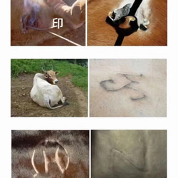 重要：ご購入する前の説明ー『天然本革の”傷”に関して』 4枚目の画像