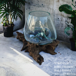 バリ島インテリア雑貨✨ wood glass wide S 流木インテリア 流木