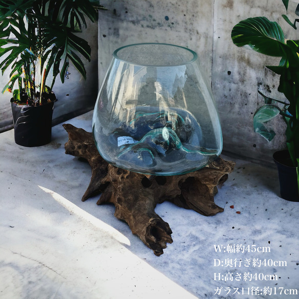 バリ島インテリア雑貨✨流木✖️ガラスwood glass premium S (現物商品 