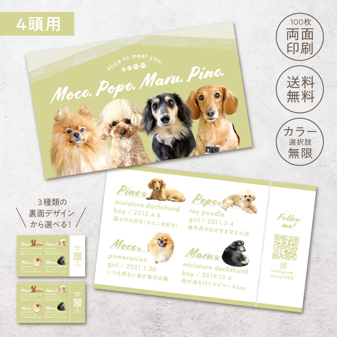 『4頭限定×フェミニンが可愛い』うちの子・ペット名刺／オフ会・イベントで大活躍！