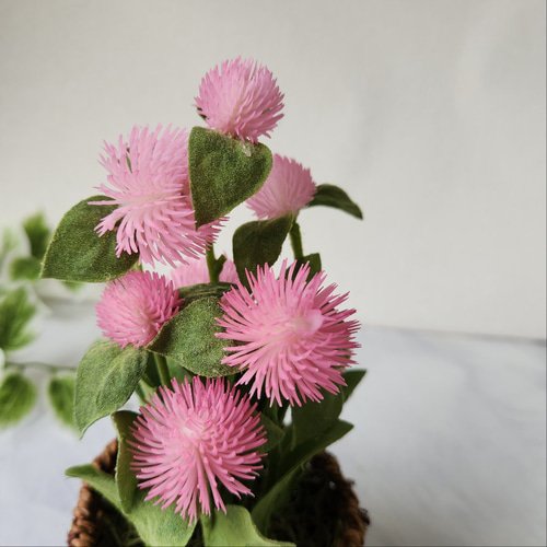 花籠 ( ピンク ) 1個 eb1463ba847ab5abb6f049463ea091