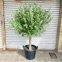 5c8505b4f6abe6d51ab4584adbdac9