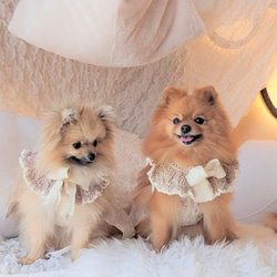 犬用 猫用 スタイ ケープ ペット服・アクセサリー Fuwan 通販 18436613