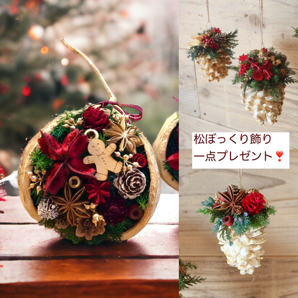 ハッピーブッダナッツのクリスマス飾り（松ぼっくり飾りプレゼント付き