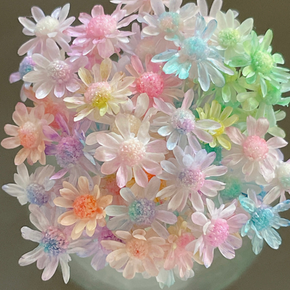 ハーバリウムボールペン　レジン アクセサリー 花材 スターフラワーミニ　オーダー スターフラワー ミニ つぼみ 小さな花 レジン封入 ハーバリウム