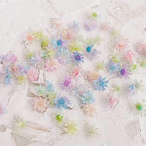 ハーバリウムボールペン　レジン アクセサリー 花材 スターフラワーミニ　オーダー スターフラワー ミニ つぼみ 小さな花 レジン封入 ハーバリウム