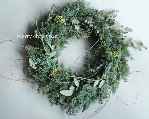 ドライフラワー　フレッシュ　グリーン　クリスマス　リース　No.56 ドライフラワー フレッシュ グリーン クリスマス リース No.56