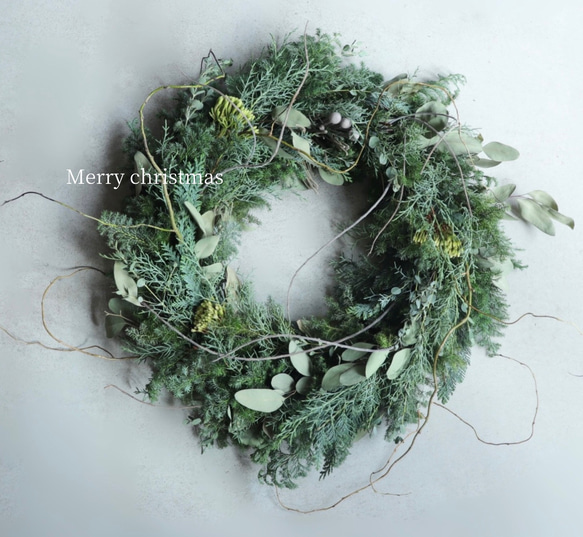 50cmの 大きなクリスマスリース フレッシュグリーン フレッシュリース