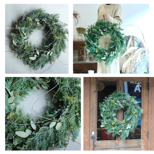 ドライフラワー　フレッシュ　グリーン　クリスマス　リース　No.56 ドライフラワー フレッシュ グリーン クリスマス リース No.56